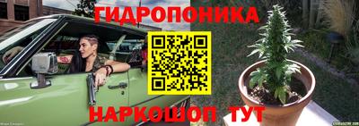 трава Кингисепп