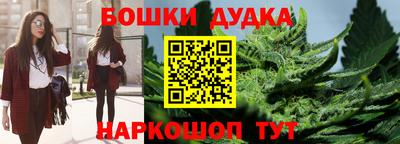 спиды Кинель