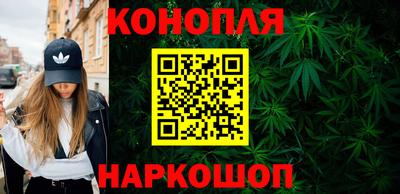 трава Кингисепп